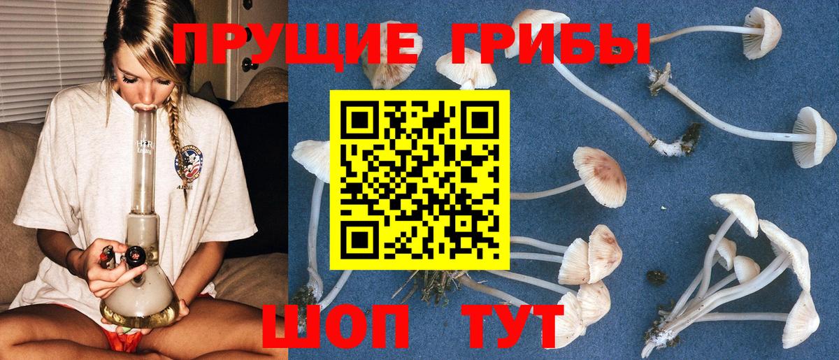 Псилоцибиновые грибы Cubensis Янаул