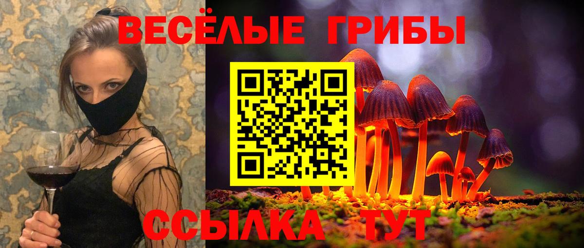 Псилоцибиновые грибы Magic Shrooms  Псилоцибиновые грибы MAGIC MUSHROOMS  Вход с VPN  Янаул 